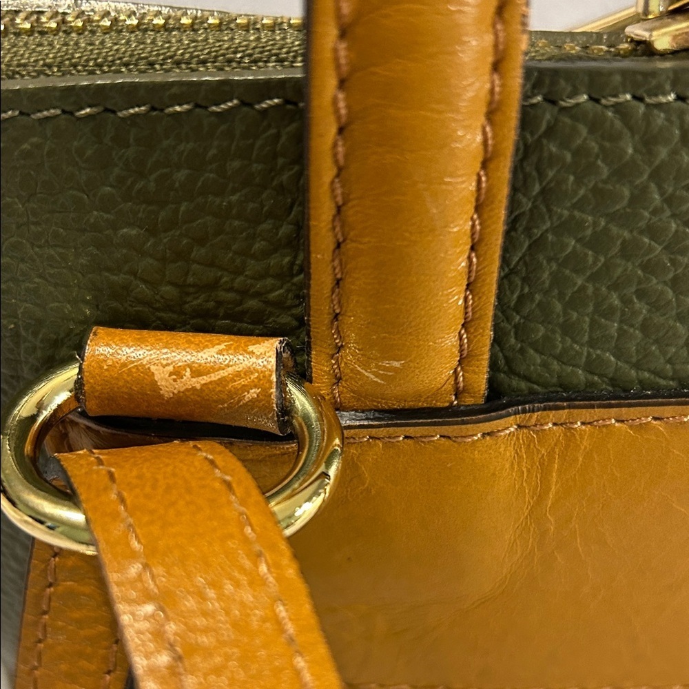 Divina Firenze Green and Tan Leather Backpack with Gold Toned Hardware - Picture 4 of 9